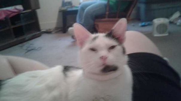 Skittles Is Not Pleased.....