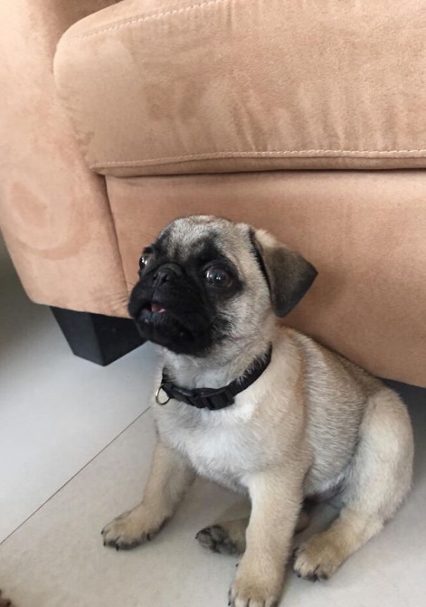 First Time He Saw Hd Tv