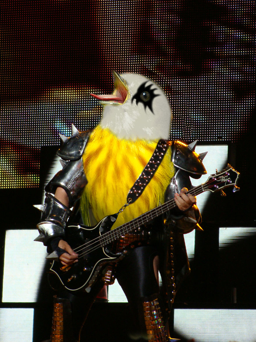 "i Was Made For Pecking You Baby "