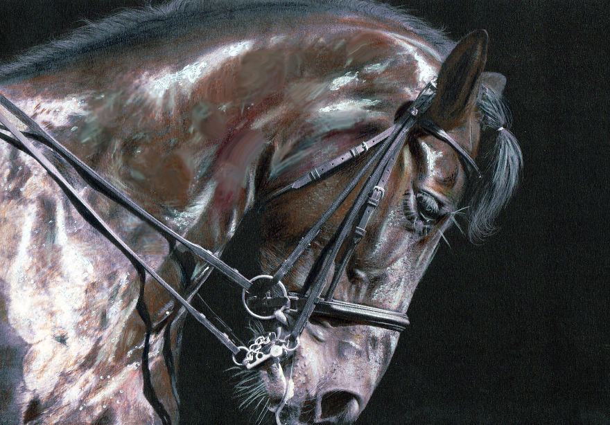 My Attempts At Photo-Realistic Images Using Pencil