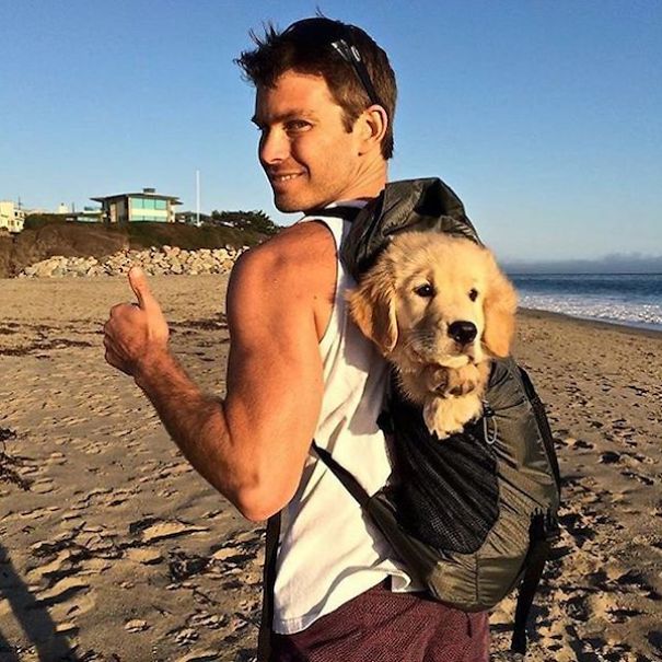 "hot Dudes With Dogs" Instagram Is The Ultimate Internet Eye Candy