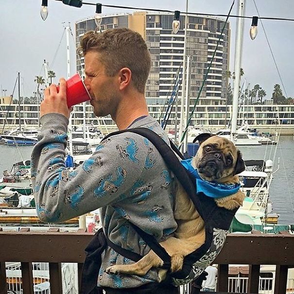 "hot Dudes With Dogs" Instagram Is The Ultimate Internet Eye Candy