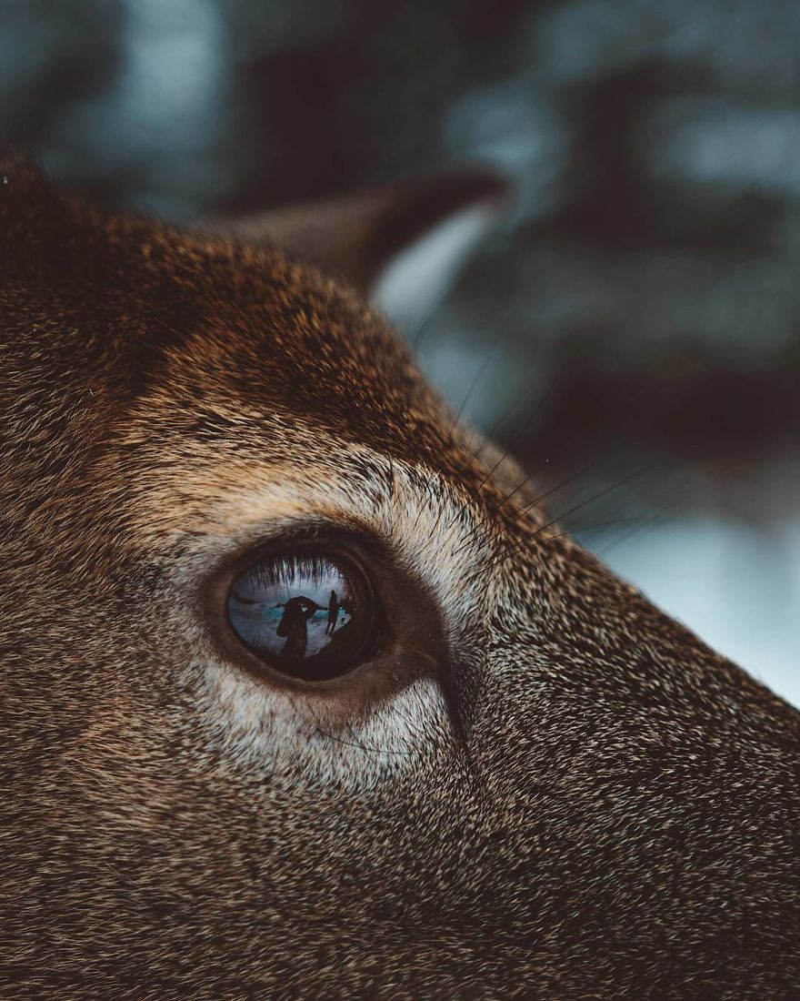 How I Got Seduced By Wildlife Photography