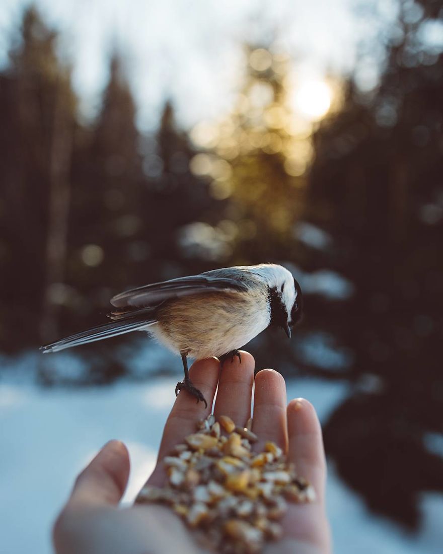 How I Got Seduced By Wildlife Photography