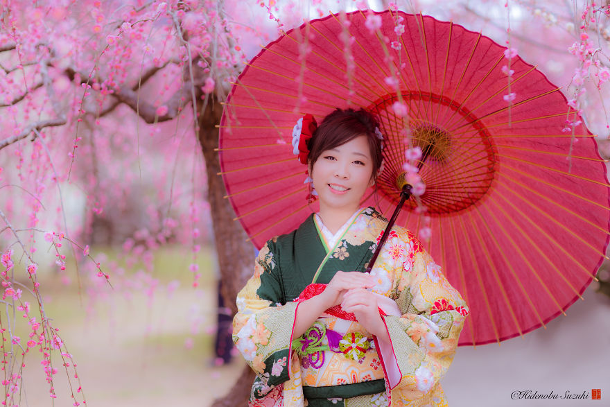 I Captured Plum Trees Blooming In Japan