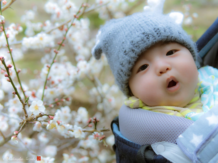 I Captured Plum Trees Blooming In Japan