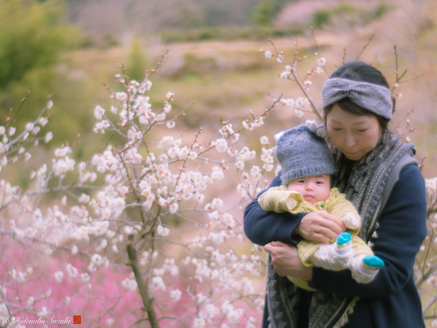 I Captured Plum Trees Blooming In Japan