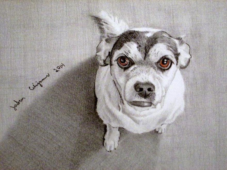 I Collect Talents And Show Their Amazing Artworks To People I Collect Talents And Show Their Amazing Artworks To People