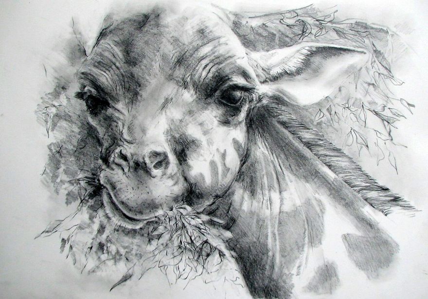 I Collect Talents And Show Their Amazing Artworks To People I Collect Talents And Show Their Amazing Artworks To People