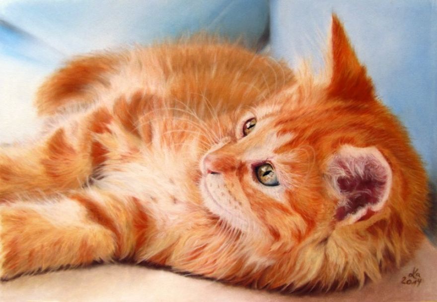 I Collect Talents And Show Their Amazing Artworks To People I Collect Talents And Show Their Amazing Artworks To People