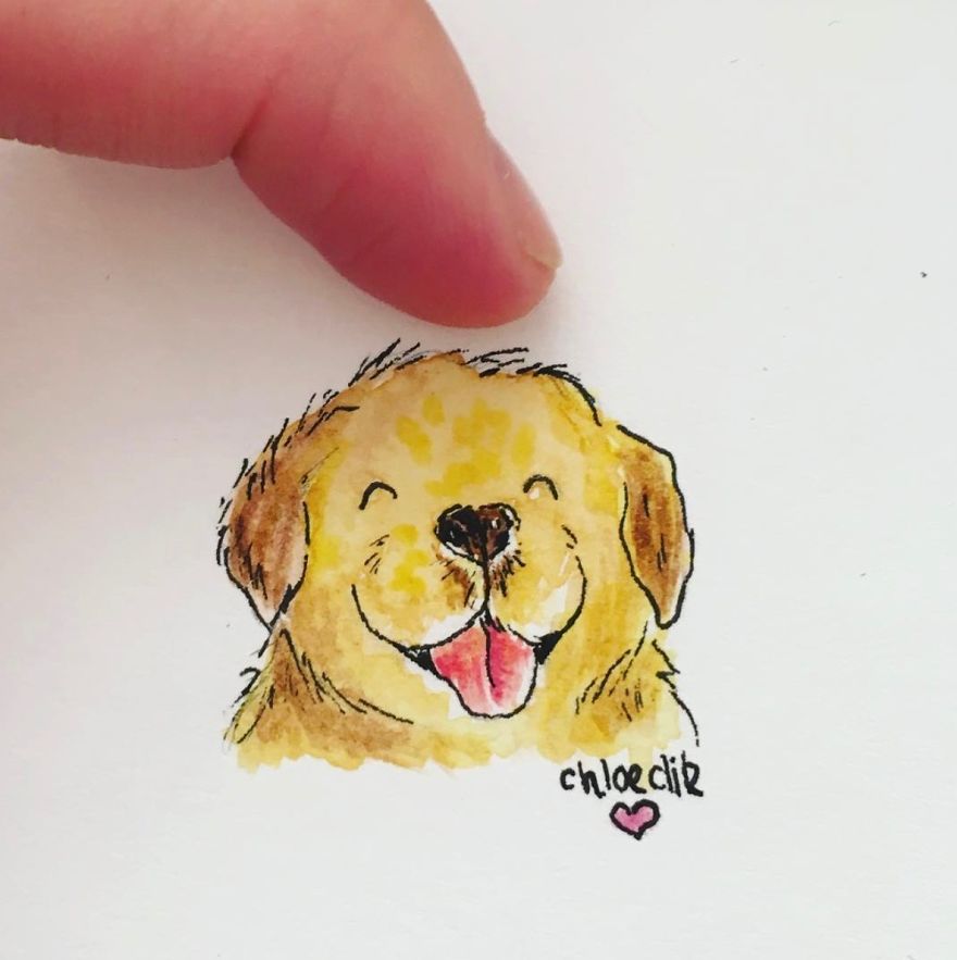 I Create Miniature Pet Portraits