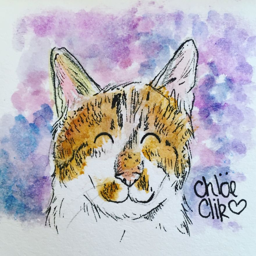I Create Miniature Pet Portraits