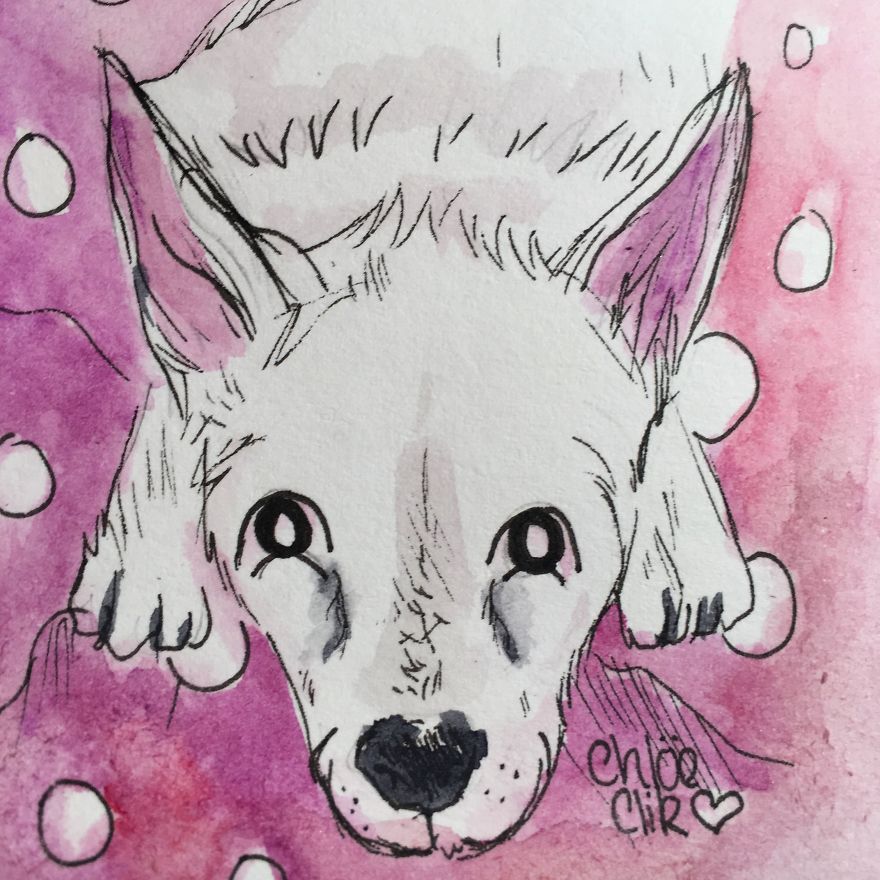 I Create Miniature Pet Portraits