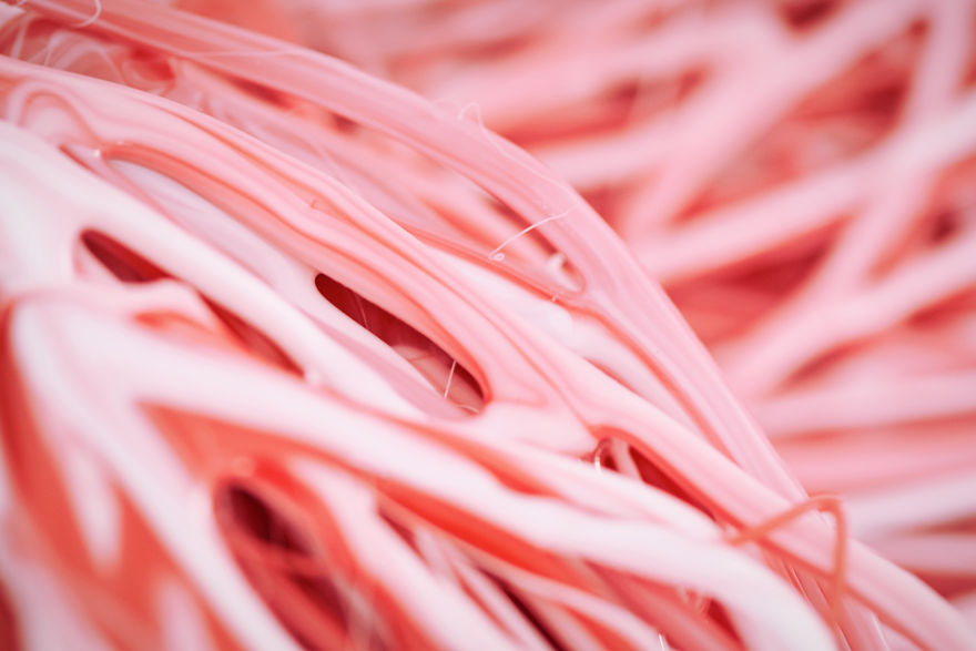 I Create 3D Magnolia Flowers On Walls Using Industrial Silicone