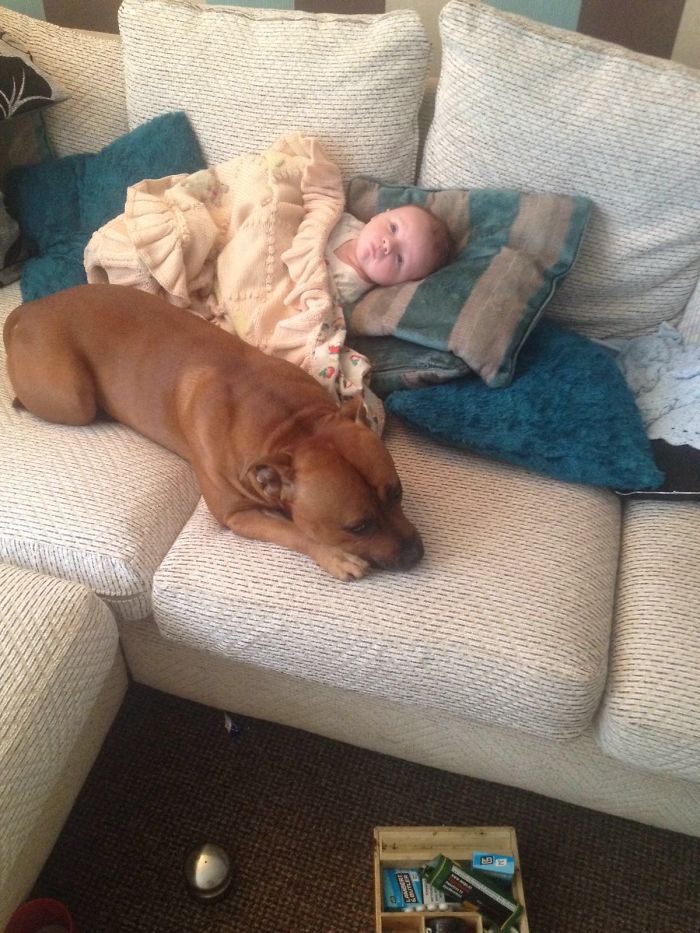 I Will Viciously Guard My Baby