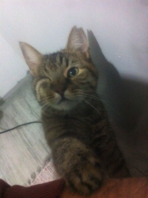 May The Darkness Be With You..