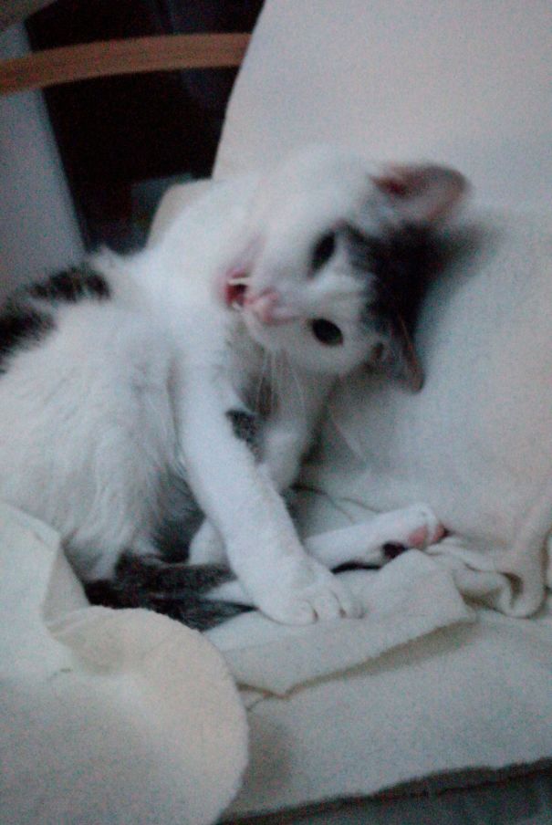 I Will Kill You! I Will Eat You!