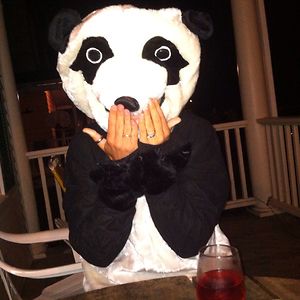 pandapantsroo avatar