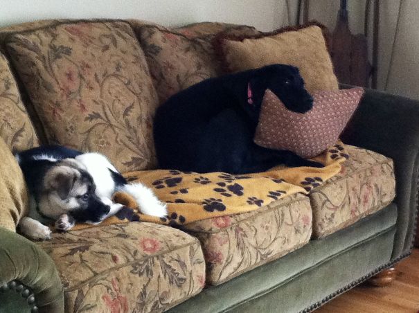 Melting Into Pillows...