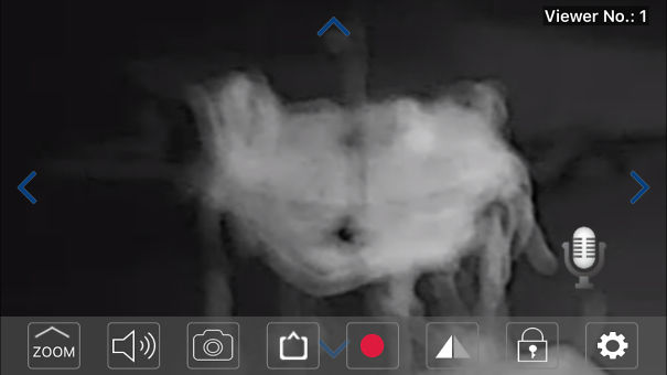 I Have This Demon On My Security Camera I Can't See It Without The Camera I Even Put My Hand Through It's Body And Felt Nothing