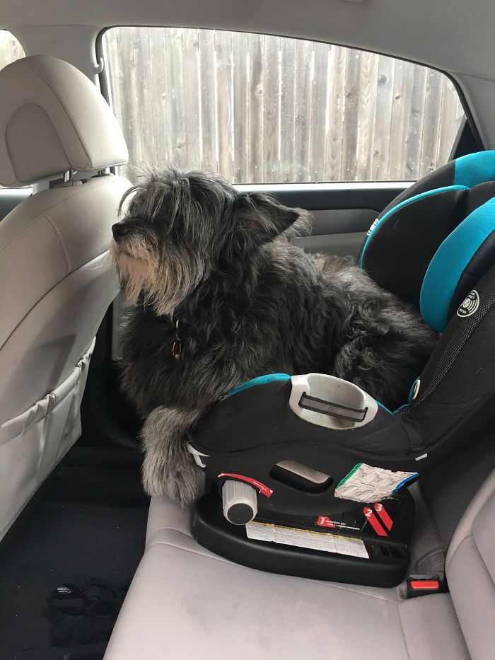 Abby Before And After