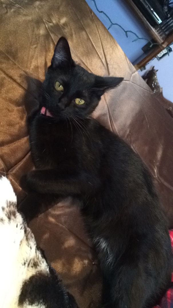 Plotting Her Revenge To Kill Me.