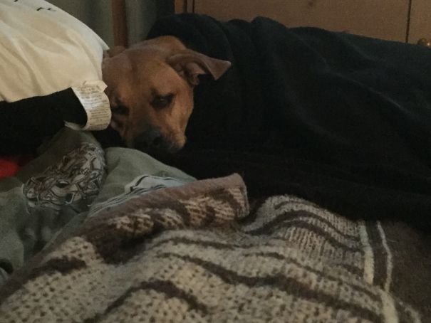 First Really Cold Night In Her Life, Demanded Her Blankey