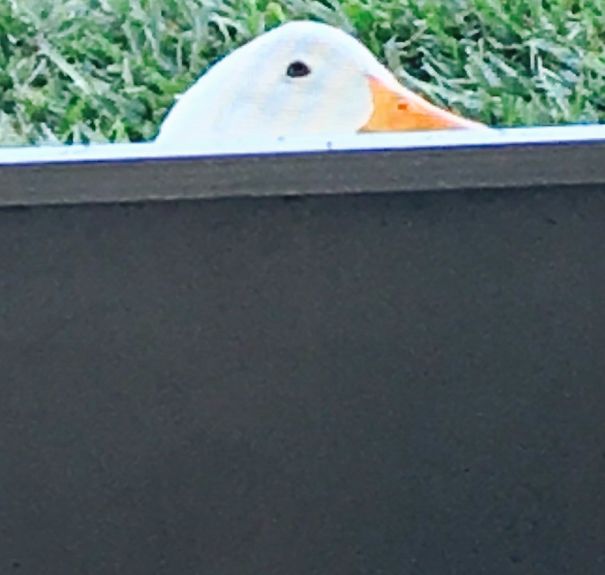 You Are Getting Very Sleepy............