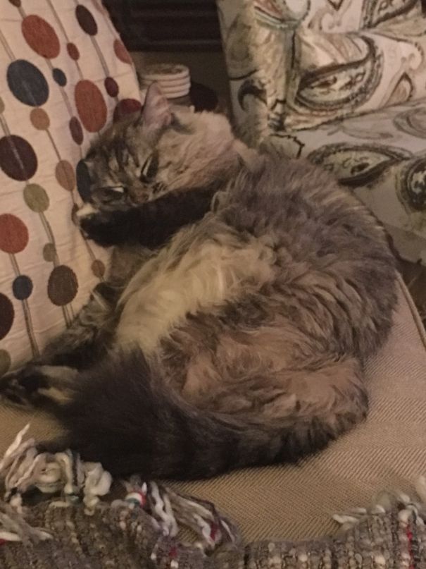 Melted Sushi. Do Not Eat!!!