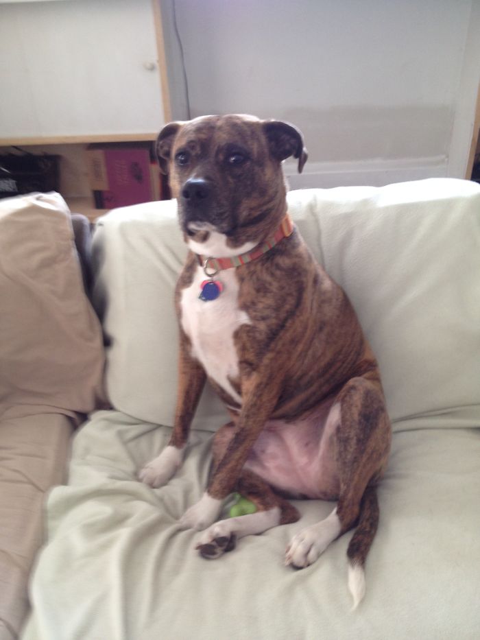 Working Up The Energy Needed For Attack.