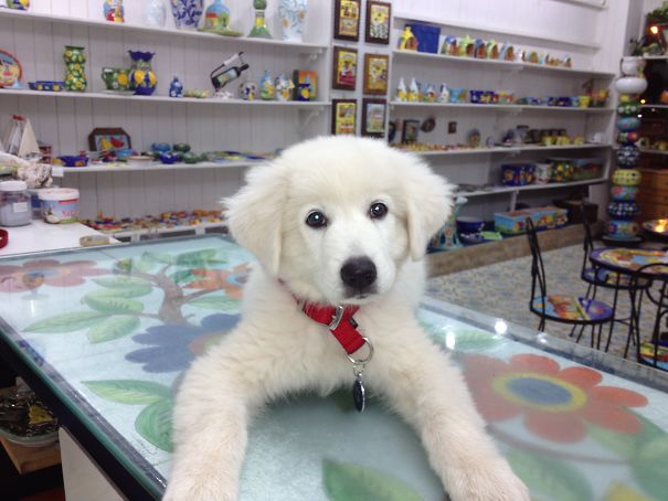 First Day At Work In A Pottery Shop!