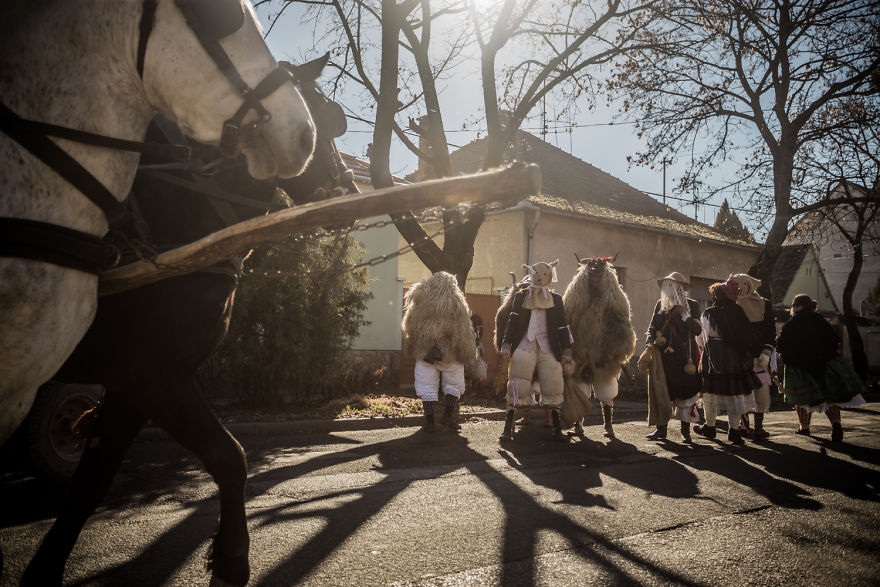 Jankele - Weird, Crazy, Creepy And Playful Jankele - Weird, Crazy, Creepy And Playful