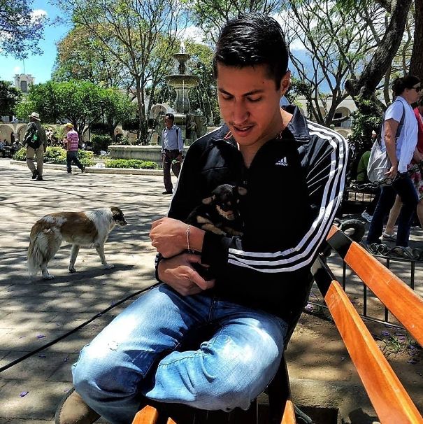 Our Chihuahua, Kody, Taken To The Park For The First Time. My Boyfriend Cried A Lot When He First Met Him Earlier That Day. He'd Been Wanting To Have One For A Long Time. 😭😍