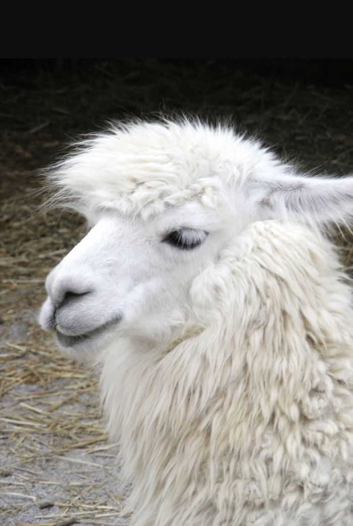 Oh God. My Emo Phase Was Crap