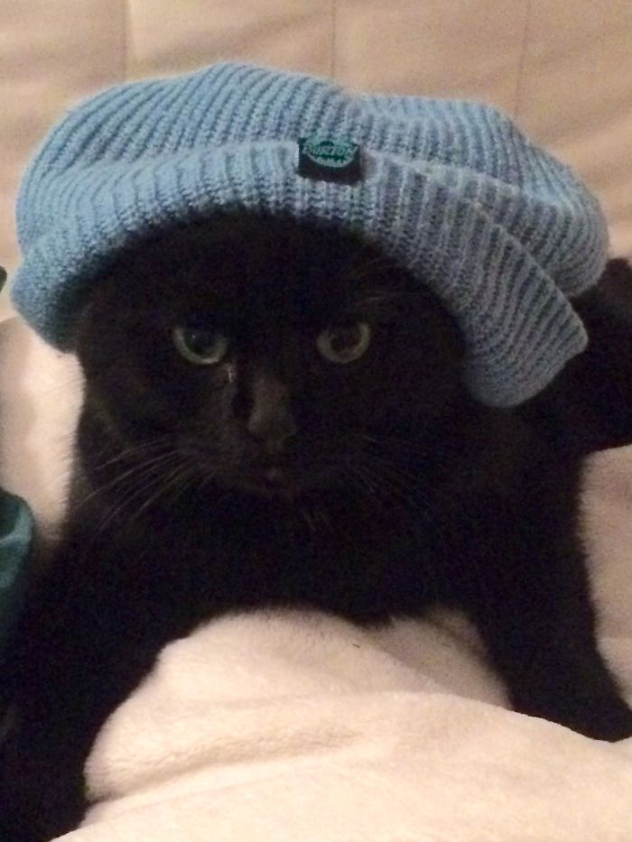 She Did Not Choose The Thug Life