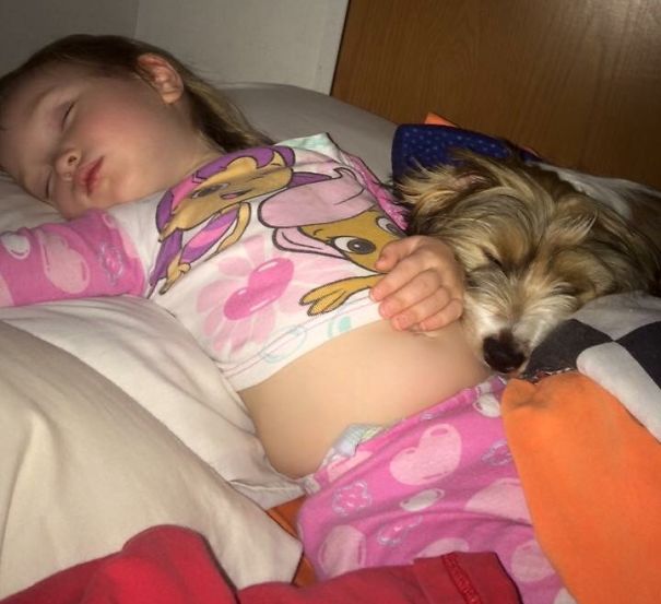 My Girl And Her Pup Frequently Melt Together