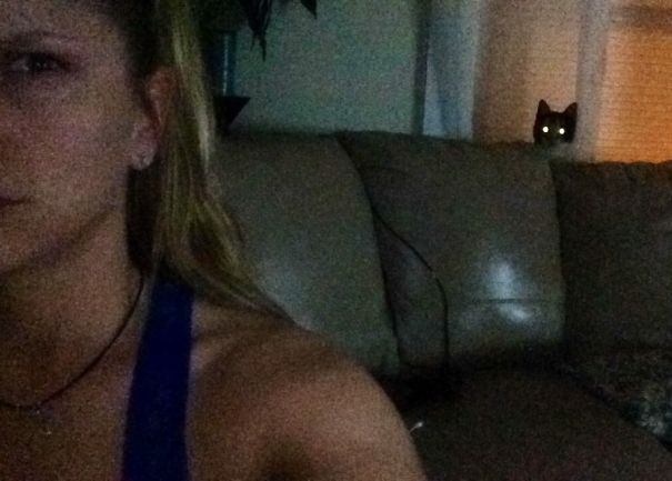 The Moment You Realize You Don't Even Have A Cat