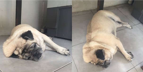 She Starts To Melt At 30c°