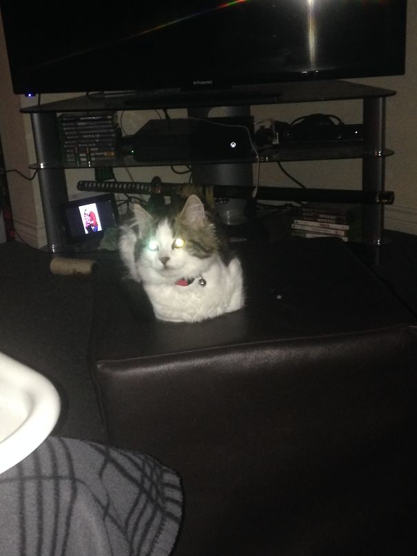 One Day She'll Come For Me...