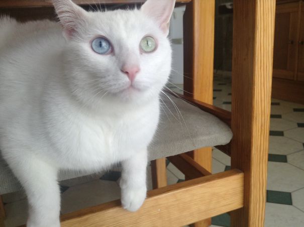 Q Is Showing You His Eyes, For The First Time.