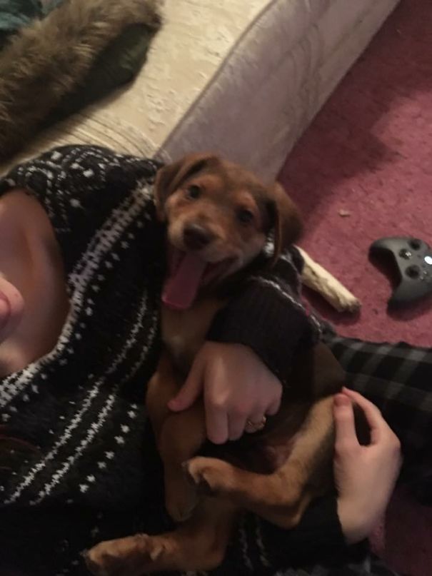 First Time Being Held Like A Baby