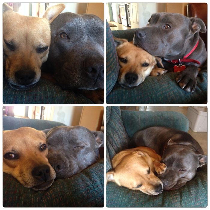 Clearly Thirsty For Blood.