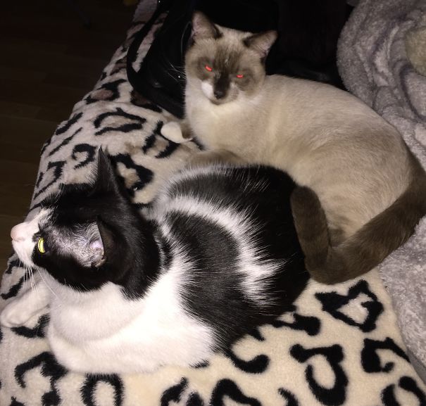 She's All Mine, Human...