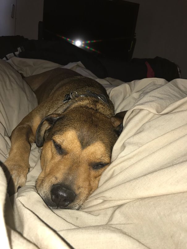 First Time On Mummy And Daddy's Bed.