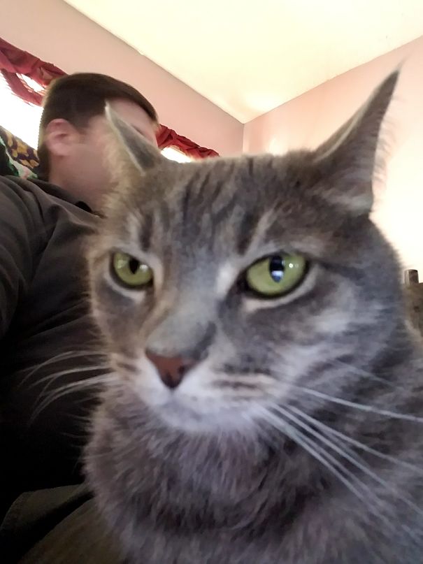 Does Not Like Selfies.