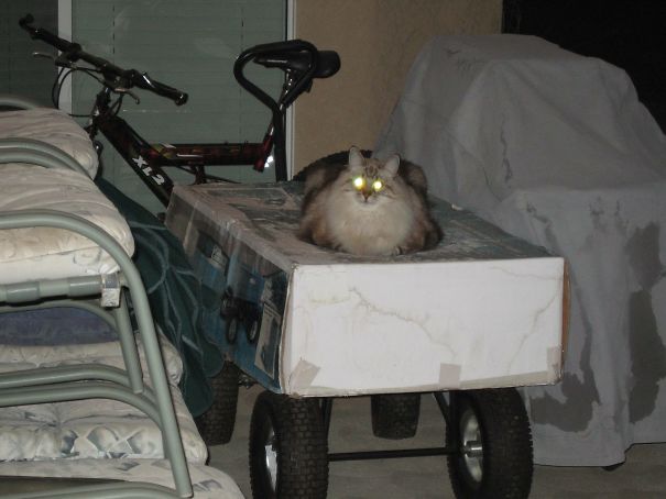 Rip Simon, You Were A Beast!