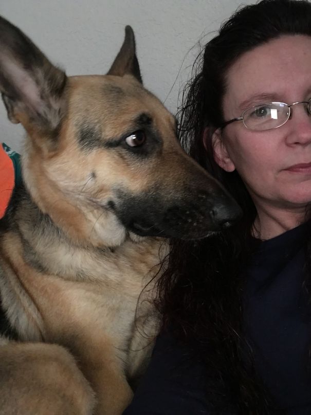 My Girl Realizes It's Not A Stuffed Cat For First Time