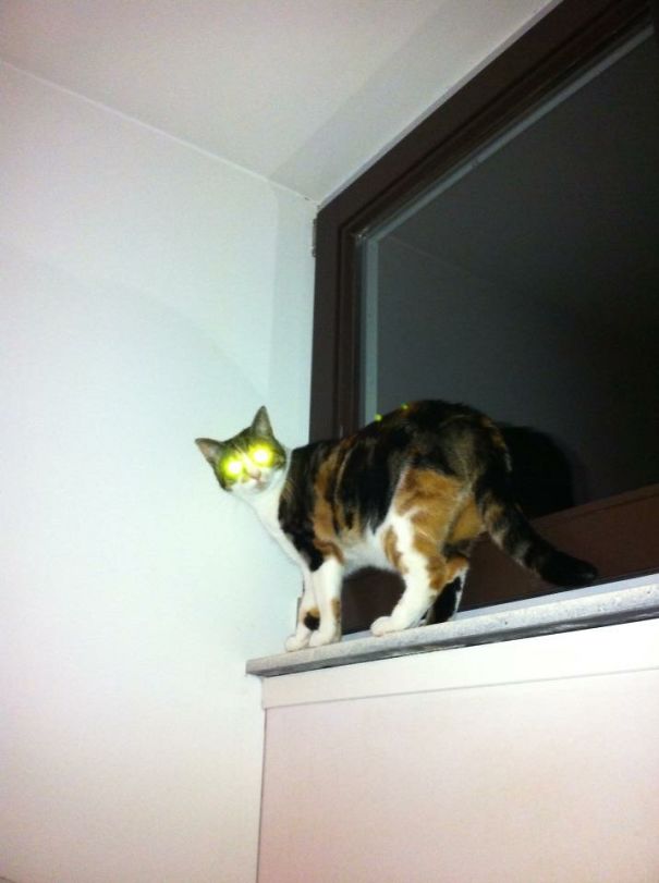 Does This Need A Title?