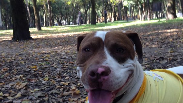 First Day Chasing Squirrels