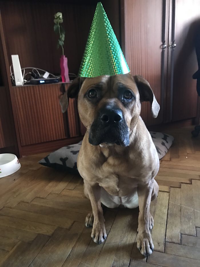 Ready For Fight, So Dangerous